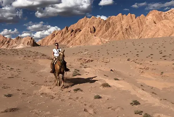 Handpicked by experts.